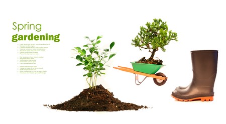 Variety of objects for spring planting on white backgroundの写真素材