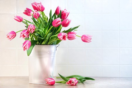 Pink tulips in white metal container against kitchen tiles の写真素材