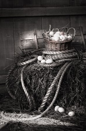 Basket of eggs on a bale of hay in the barn/ BWの写真素材