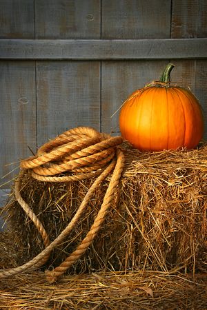 Pumpkin with rope on a bale of hayの写真素材
