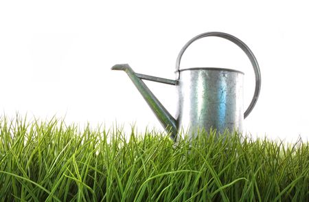 Old watering can in grass with whiteの写真素材