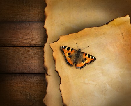 Closeup of parchment paper on wood backgroundの写真素材