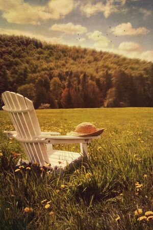 Adirondack chair in a field of tall grassの写真素材
