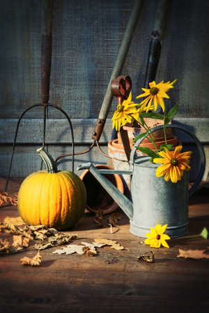 Garden shed with tools, pumpkin and flowersの写真素材