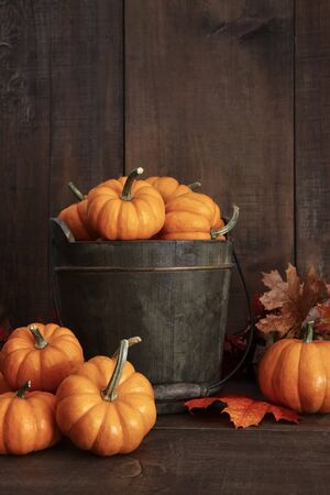 Small pumpkins in wooden bucket on tableの写真素材