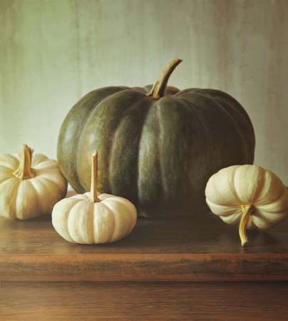 Green pumpkin and small white gourds on tableの写真素材