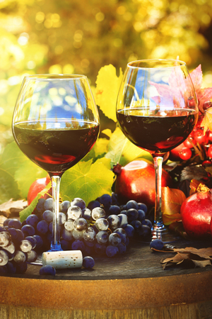 Fall scene with glasses of red wine and grapesの写真素材