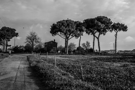 Rural Landscape Water Parkの写真素材