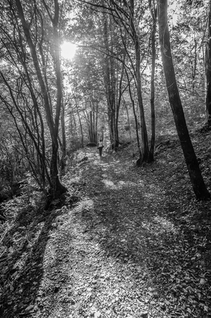 Italy, Udine, San Leonardo del Friuli - walking through the village, forests, rivers and waterfalls in the municipality of San Leonardoの写真素材