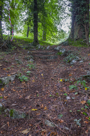 Italy, Udine, San Leonardo del Friuli - walking through the village, forests, rivers and waterfalls in the municipality of San Leonardoの写真素材