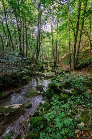 Italy, Udine, San Leonardo del Friuli - walking through the village, forests, rivers and waterfalls in the municipality of San Leonardoの写真素材