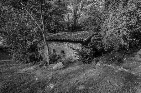 Italy, Udine, San Leonardo del Friuli - walking through the village, forests, rivers and waterfalls in the municipality of San Leonardoの写真素材