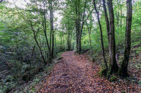 Italy, Udine, San Leonardo del Friuli - walking through the village, forests, rivers and waterfalls in the municipality of San Leonardoの写真素材