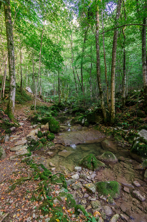 Italy, Udine, San Leonardo del Friuli - walking through the village, forests, rivers and waterfalls in the municipality of San Leonardoの写真素材
