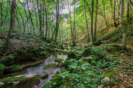 Italy, Udine, San Leonardo del Friuli - walking through the village, forests, rivers and waterfalls in the municipality of San Leonardoの写真素材