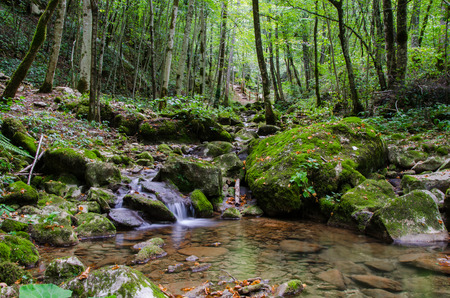 Italy, Udine, San Leonardo del Friuli - walking through the village, forests, rivers and waterfalls in the municipality of San Leonardoの写真素材