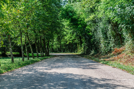 Italy, Udine, San Leonardo del Friuli - walking through the village, forests, rivers and waterfalls in the municipality of San Leonardoの写真素材