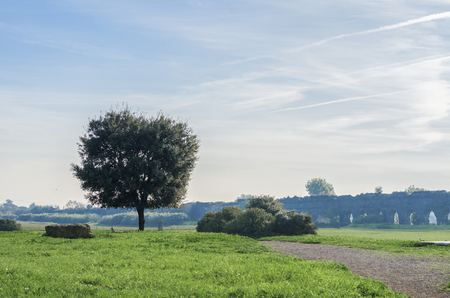 Italy, Rome, Claudio Aqueduct - A beautiful morning at Aqueduct Parkの写真素材