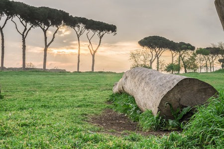 Italy, Rome, Acquedotto Claudio - A wonderful day began with a morning stroll to the Aqueduct Parkの写真素材