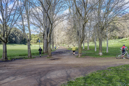 Italy, Rome, Villa Dora Pamphili - 06 March 2016: It's morning in the park of Villa Doria Pamphili, the largest park in Rome; It is a place where you can walk, run, ride a bicycle and of course relaxのeditorial素材