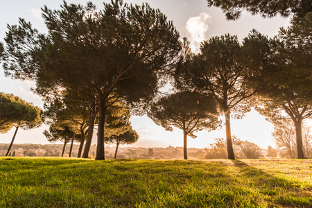 Italy, Rome, Villa Dora Pamphili - 06 March 2016: It's morning in the park of Villa Doria Pamphili, the largest park in Rome; It is a place where you can walk, run, ride a bicycle and of course relaxの写真素材