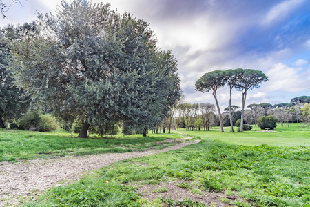 Italy, Rome, Villa Dora Pamphili - 06 March 2016: It's morning in the park of Villa Doria Pamphili, the largest park in Rome; It is a place where you can walk, run, ride a bicycle and of course relaxの写真素材