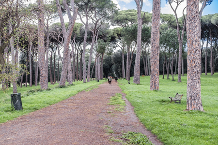 Italy, Rome, Villa Dora Pamphili - 06 March 2016: It's morning in the park of Villa Doria Pamphili, the largest park in Rome; It is a place where you can walk, run, ride a bicycle and of course relaxのeditorial素材