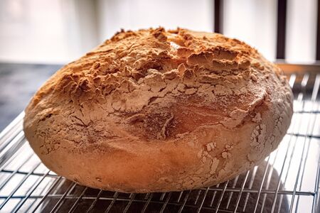 Sourdough bread is made by the fermentation of dough using naturally occurring lactobacilli and...