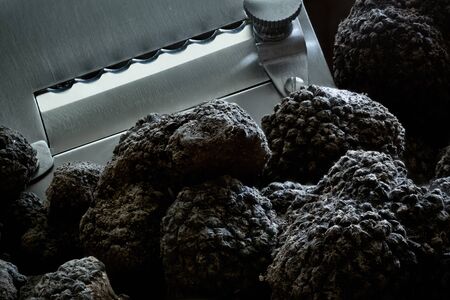 Tuber Aestivum Black truffles, Umbria, Italyの写真素材
