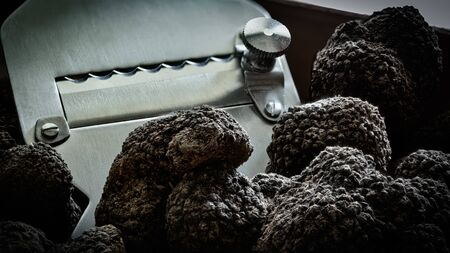 Tuber Aestivum Black truffles, Umbria, Italyの写真素材