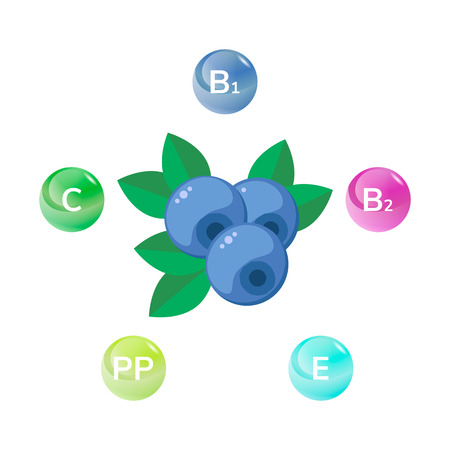 vector illustration, blueberries, bilberry, blue forest berries with green leaves. infographics Vitaminsのイラスト素材
