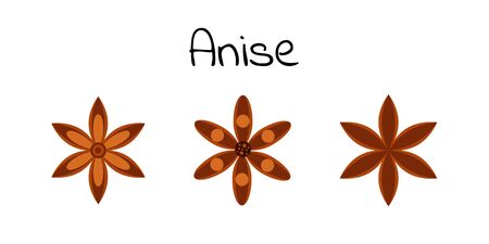 Vector illustration. Spice. Star anise. Badian.のイラスト素材