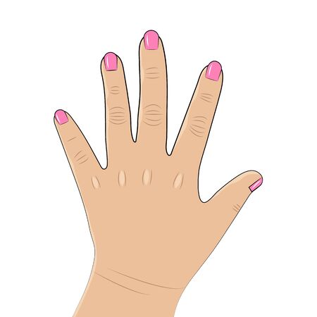 Vector illustration. Flat hand.のイラスト素材