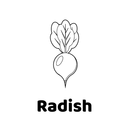 Vector illustration. Game for children. Vegetable. Coloring page radishのイラスト素材