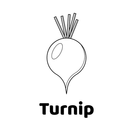 Vector illustration. Game for children. Vegetable. Coloring page Turnipのイラスト素材