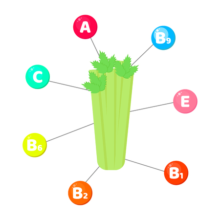 Vector illustration. Infographics. vitamins contained in vegetables. trace elements in colored circles. Celeryのイラスト素材