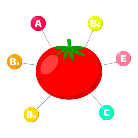 Vector illustration. Infographics. vitamins contained in vegetables. trace elements in colored circles. Tomato.のイラスト素材