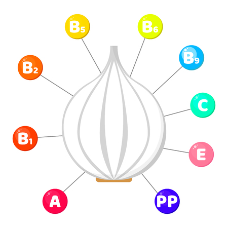 Vector illustration. Infographics. vitamins contained in vegetables. trace elements in colored circles. Garlicのイラスト素材