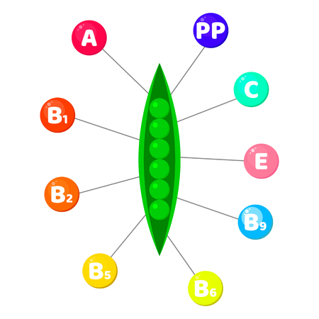 Vector illustration. Infographics. vitamins contained in vegetables. trace elements in colored circles. Peasのイラスト素材