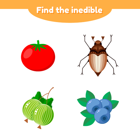 vector illustration. puzzle game for preschool and school age children. find the inedible. tomato, gooseberry, blueberry, beetleのイラスト素材