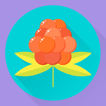 illustration. icon flat round orange forest summer berryの写真素材