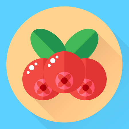 illustration, flat round icon cranberries, forest red berの写真素材
