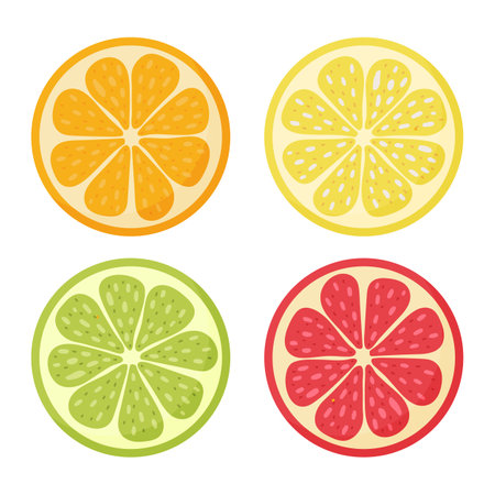 Lemon, orange, grapefruit, lime.Set hand drawn doodle citrus Vector illustrationのイラスト素材