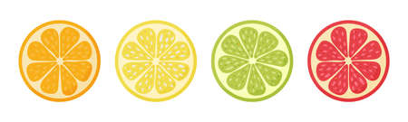Lemon, orange, grapefruit, lime.Set hand drawn doodle citrus Vector illustrationのイラスト素材