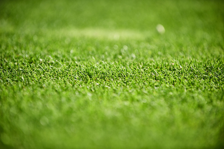 golf course closeupの写真素材