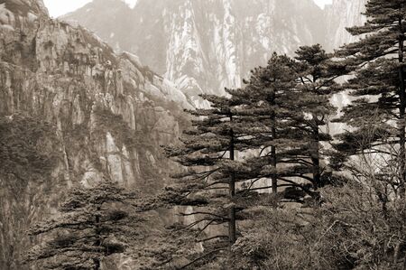 Foggy Huangshan mountainsの写真素材