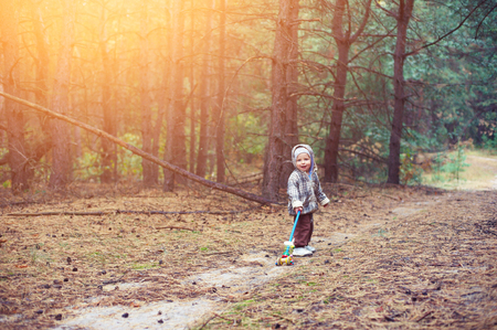 Little boy walking in the forestの写真素材