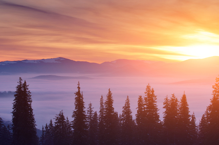 sunset in the winter mountainsの写真素材