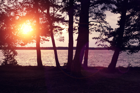 Sunset on the lakeの写真素材