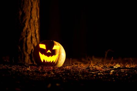 Halloween Pumpkin In A Forest At Nightの写真素材
